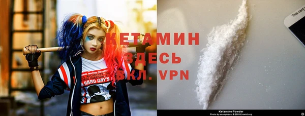 трава Белокуриха