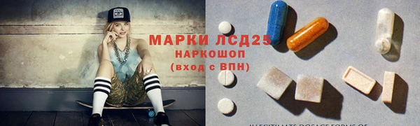 трава Белокуриха