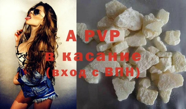 трава Белокуриха