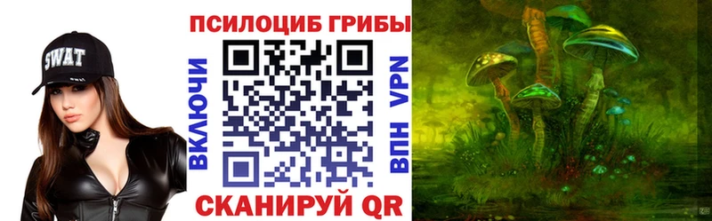 Галлюциногенные грибы Cubensis Заозёрный