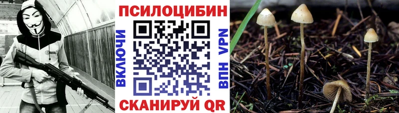 Галлюциногенные грибы мухоморы  Заозёрный 